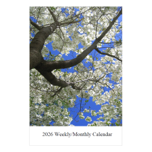 Weekly/Monthly Planner